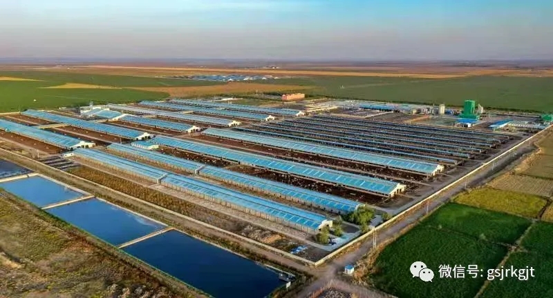 甘肅現代絲路寒旱農業基金助力養殖龍頭企業提質增量