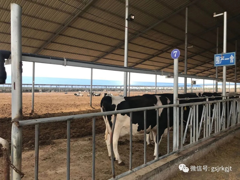 金控武威擔保聯合古浪縣金融辦及當地多家銀行開展考察調研