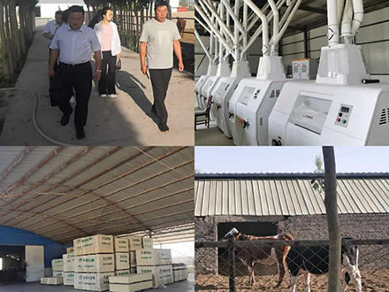 創新工作方式 主動服務企業——金控酒泉擔保全面開展駐點辦公